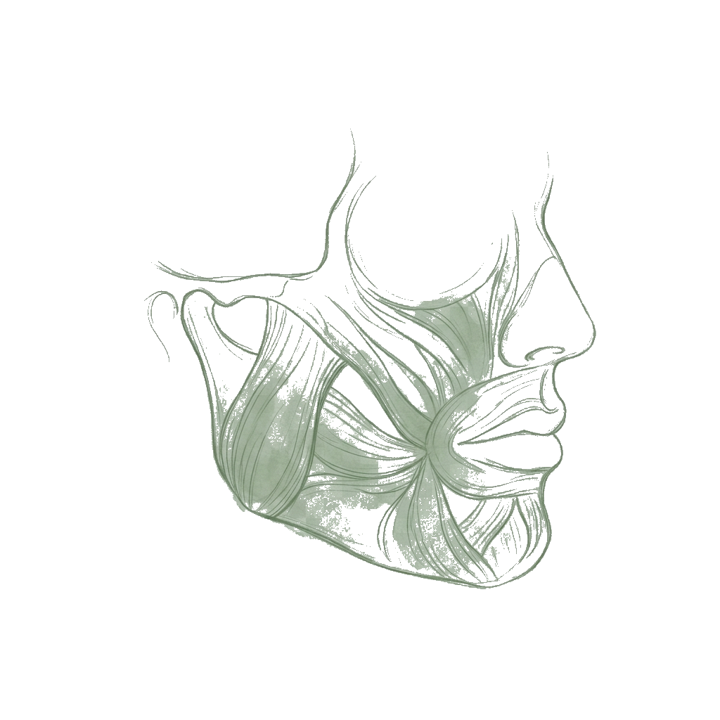 Jaw Release